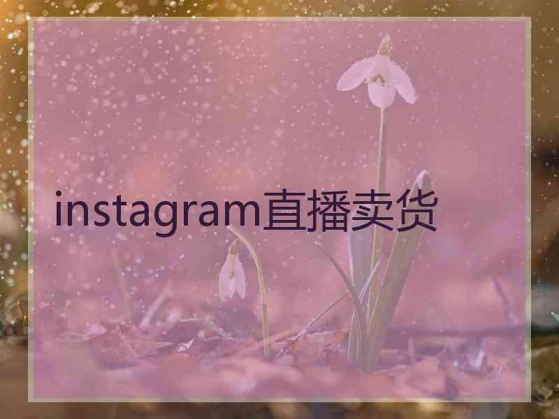 instagram直播卖货