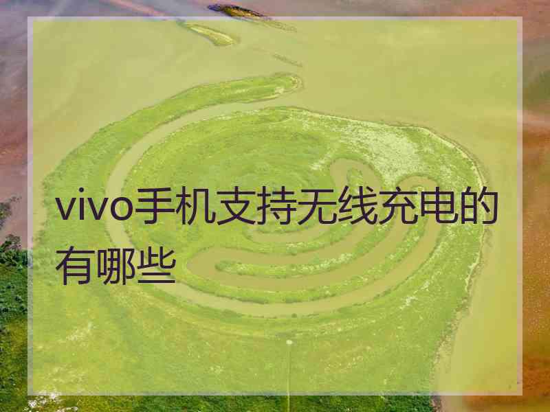 vivo手机支持无线充电的有哪些