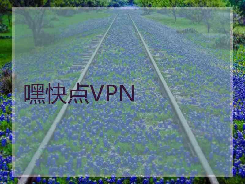 嘿快点VPN