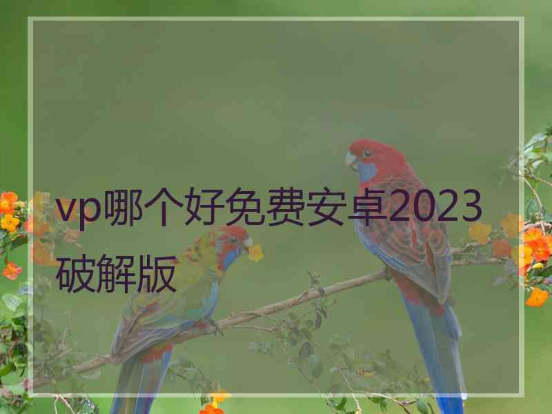 vp哪个好免费安卓2023破解版