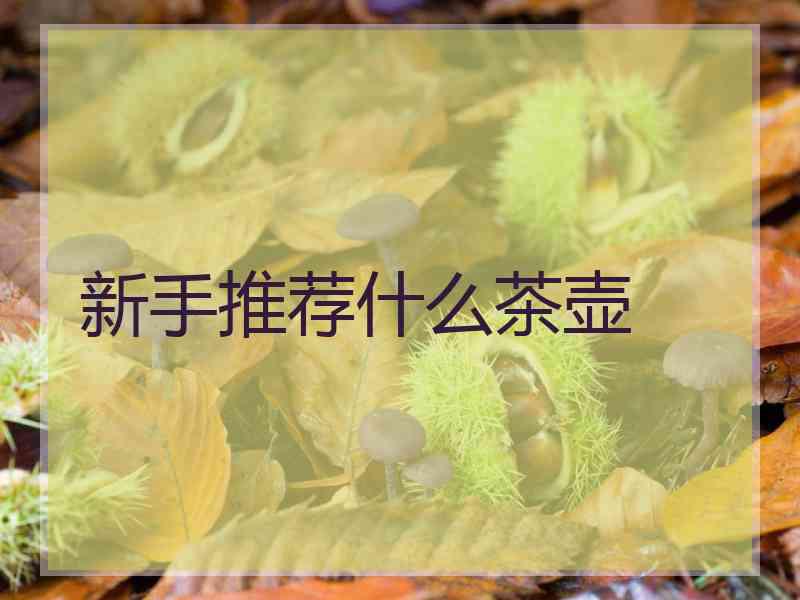 新手推荐什么茶壶