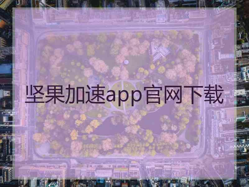 坚果加速app官网下载