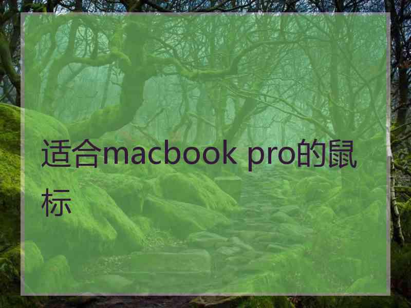 适合macbook pro的鼠标