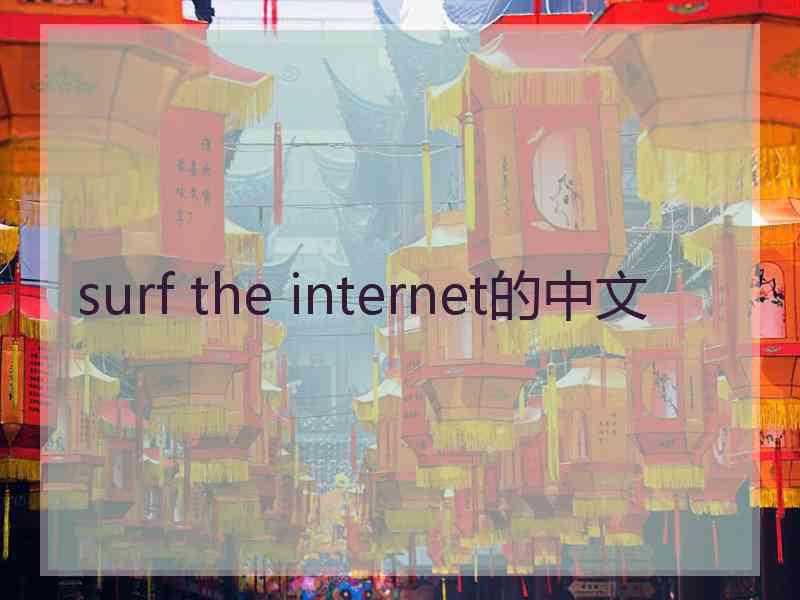 surf the internet的中文