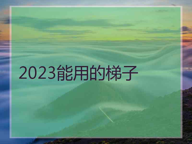 2023能用的梯子