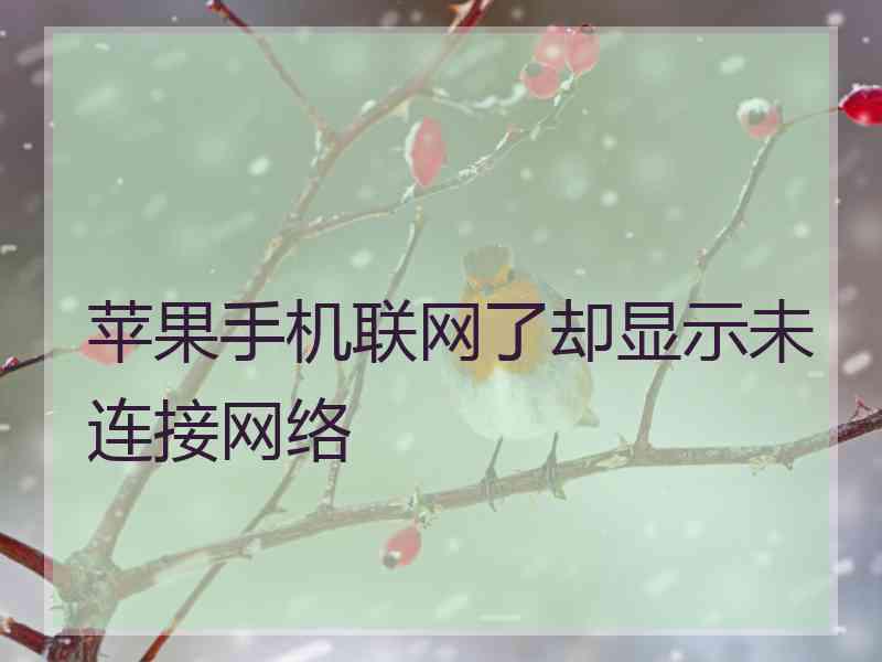 苹果手机联网了却显示未连接网络