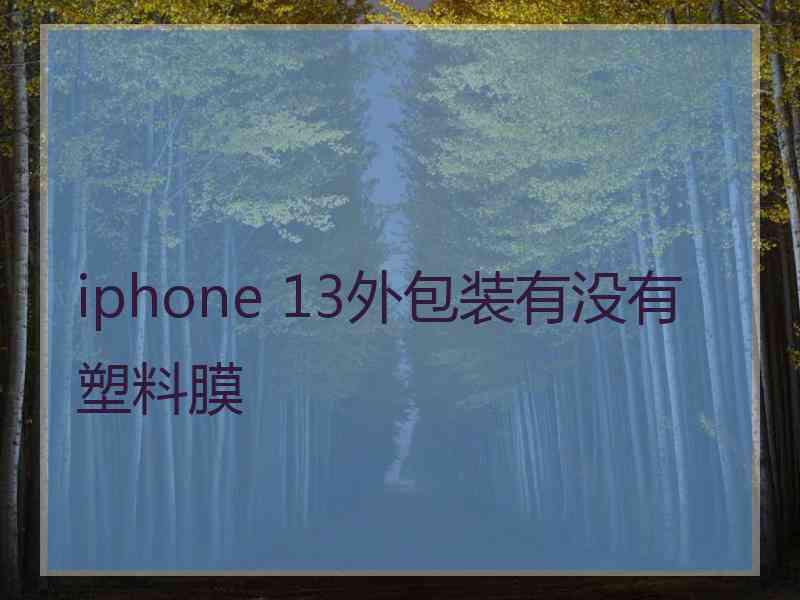 iphone 13外包装有没有塑料膜