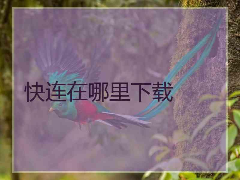 快连在哪里下载