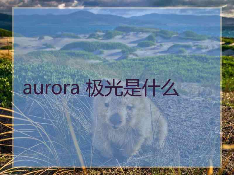 aurora 极光是什么