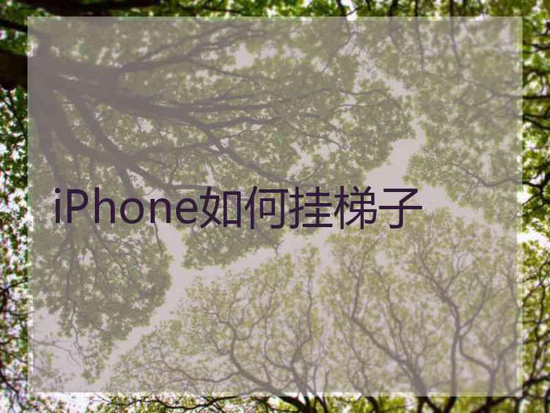 iPhone如何挂梯子