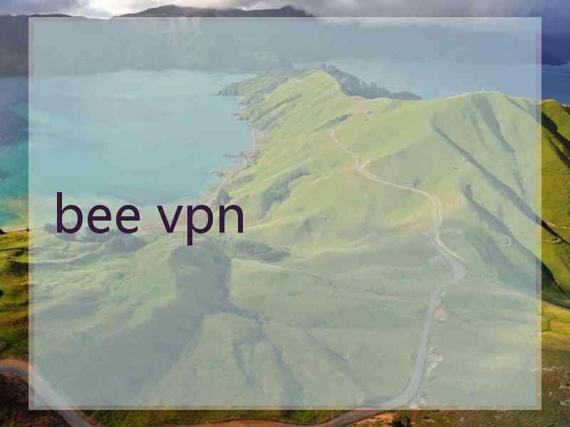 bee vpn