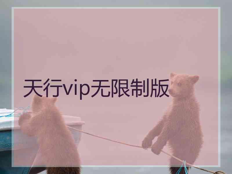 天行vip无限制版